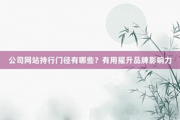 公司网站持行门径有哪些？有用擢升品牌影响力